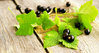 Blackcurrant Leaf Fragrance Oil